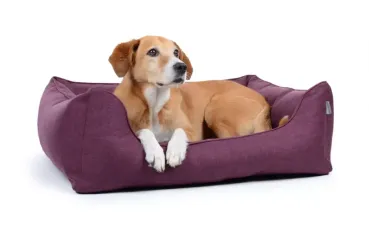 Hundebett World Soft