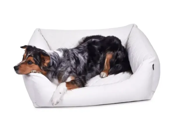 Hundebett World Kunstleder Premium
