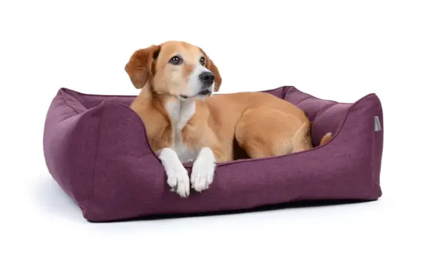 Hundebett World Soft